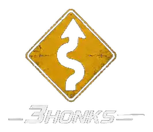 3Honks My Fun Tee